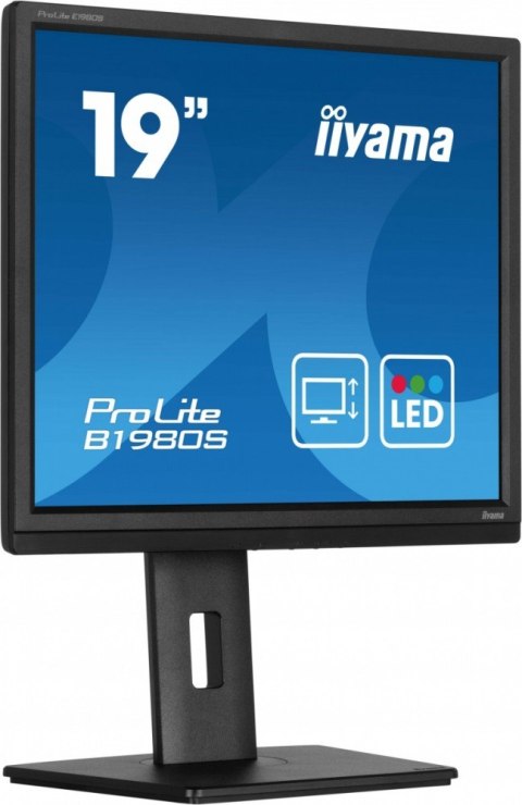 Monitor 19 cali B1980S-B1 HDMI, DP, PIVOT, HAS/150mm