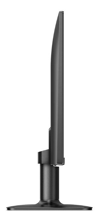 Monitor 24E2N1100LB VA 100Hz HDMI VGA